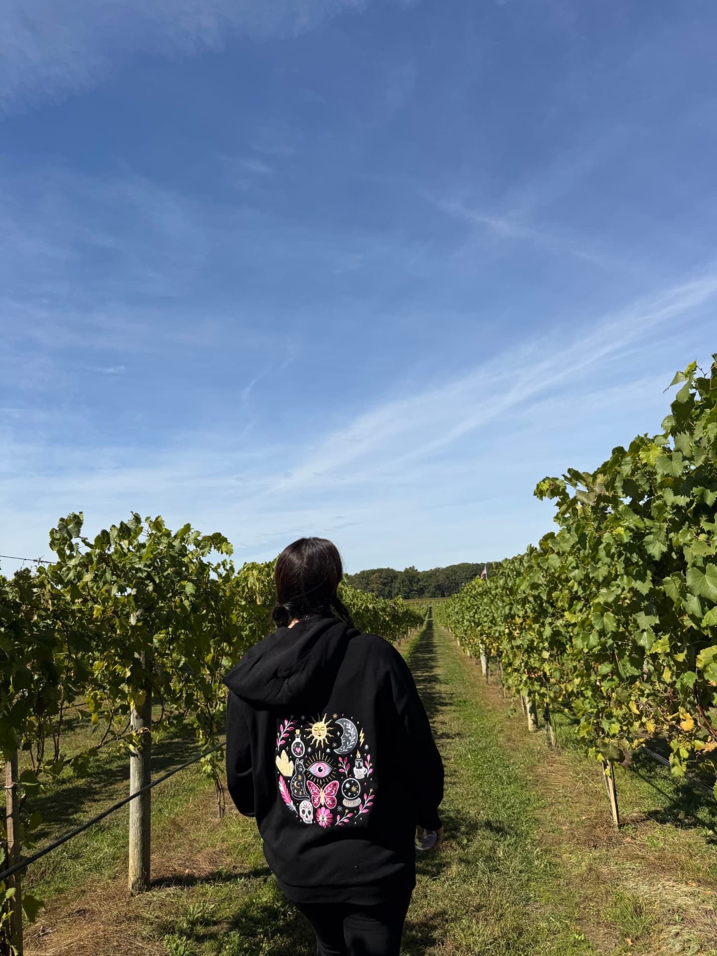 A visitor walking between rows of green vines at Laurita Winery